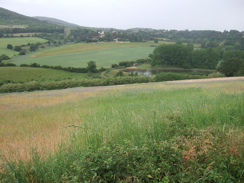 2011-05- (152).JPG - Entlang des Weges von Lentilly um den Montcher (422 m) schweift der Blick immer wieder herunter auf kleine Fischteiche im Tal